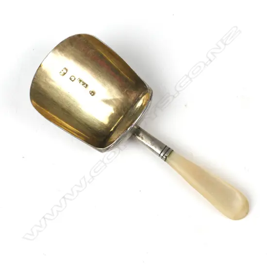 A George III silver and mother of pearl caddy spoon