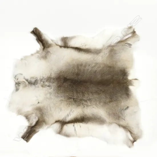 A reindeer hide rug