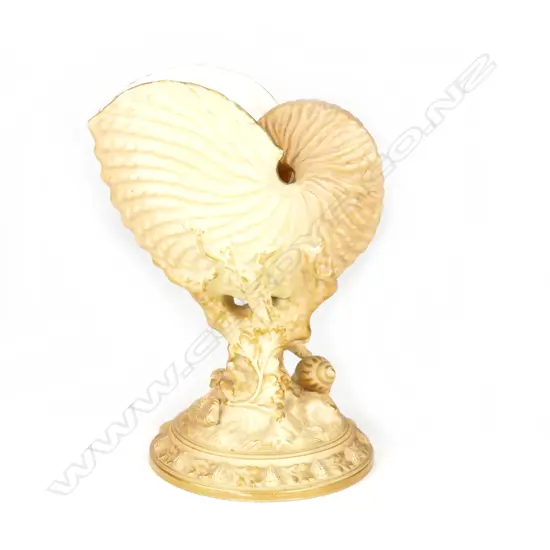 A Royal Worcester nautilus shell