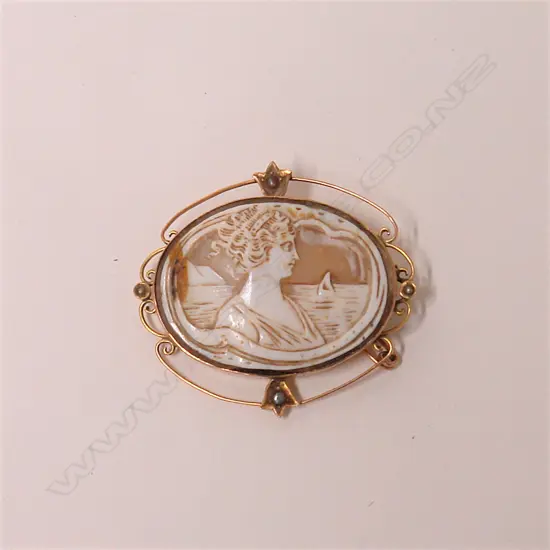 A 19thC 9ct. yellow gold framed cameo brooch