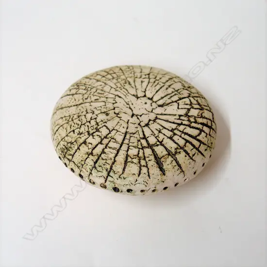 Len Castle Sea Secret form