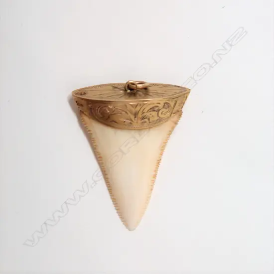 A 9ct. gilded yellow gold mounted shark's tooth pendant