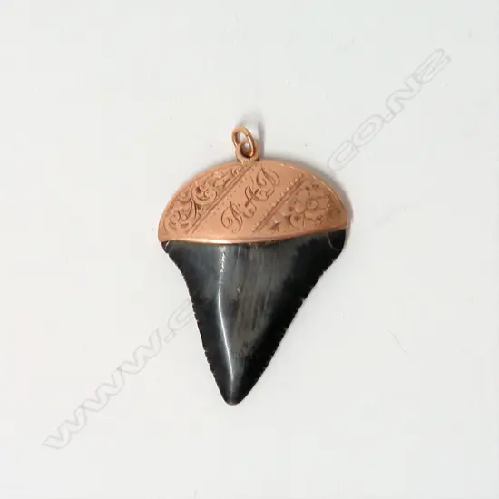 A c.1900 9ct. rose gold mounted petrified shark's tooth pendant