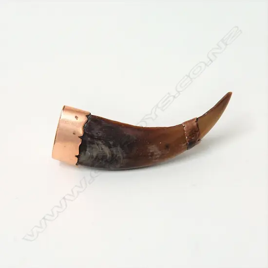 A N.Z. colonial gold mounted kea beak brooch