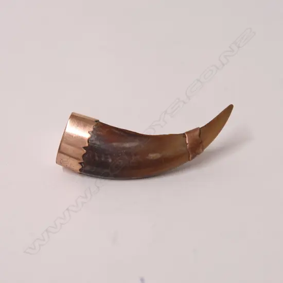 A N.Z. colonial gold mounted kea beak brooch