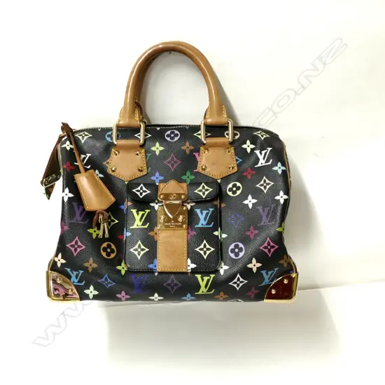 An authentic Louis Vuitton Multicolour Speedy 30 handbag