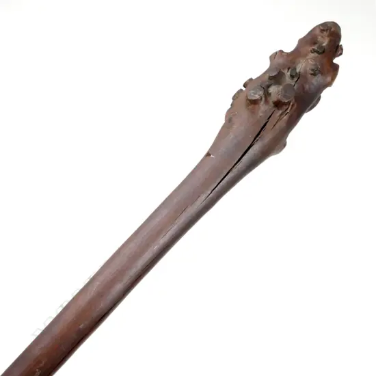 A Fijian war club (vunikau)