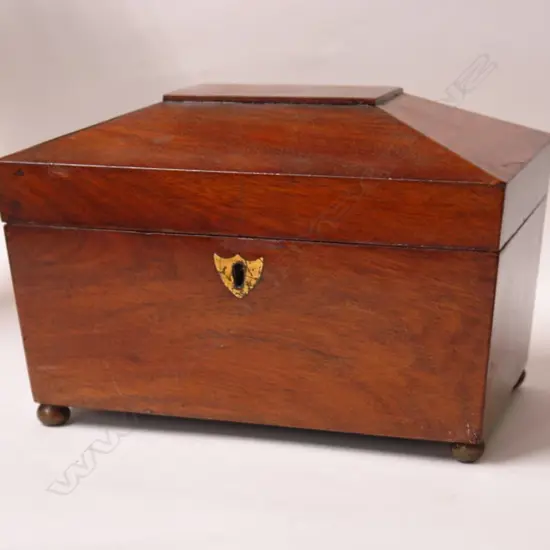 A Regency mahogany tea caddy