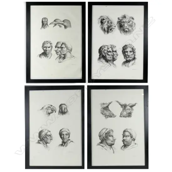 A rare set of four lithographs after Charles Le Brun from his 'System on Physiognomy'