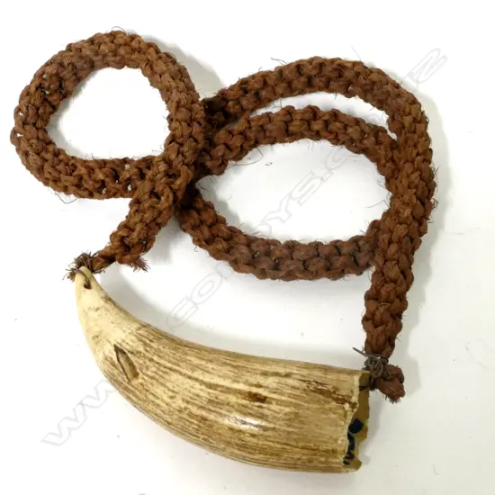An old Fijian tabua