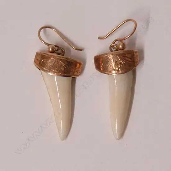 A pair of early 20thC 9ct. rose gold and shark's tooth earrings