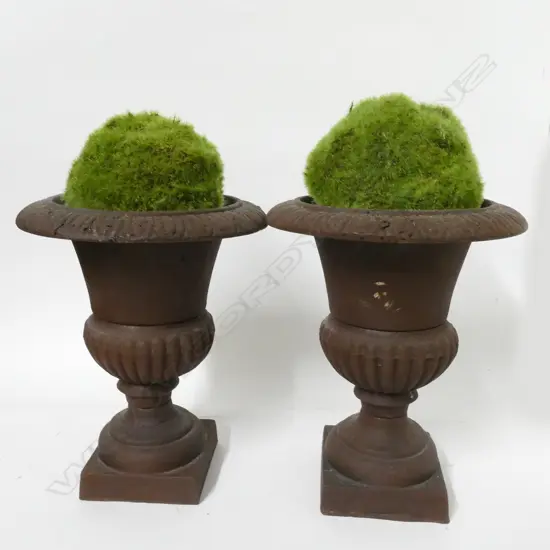 A pair of small cast iron garden urns