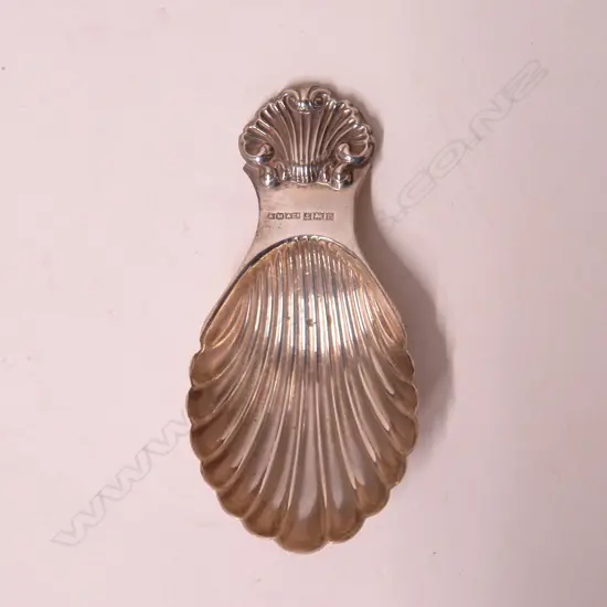 A silver scallop shell form tea caddy