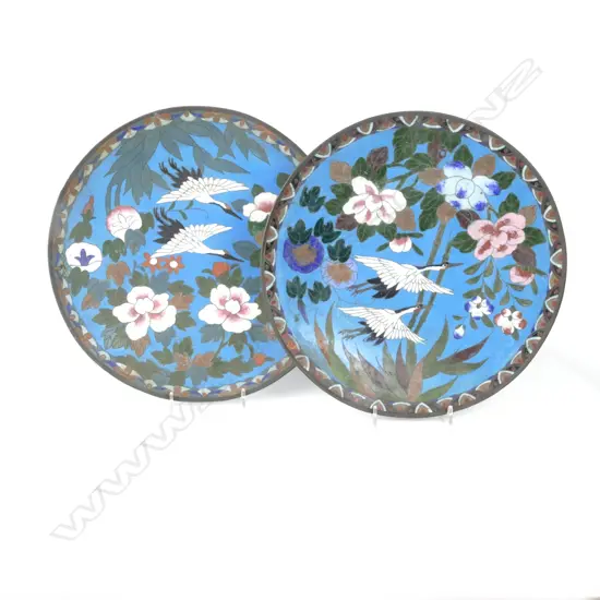 A pair of Chinese cloisonné plates