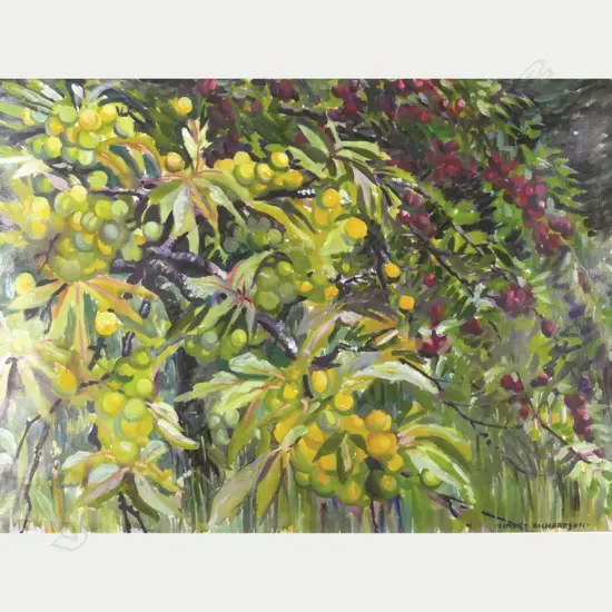 Harry Linley Richardson (UK/NZ 1878-1947)