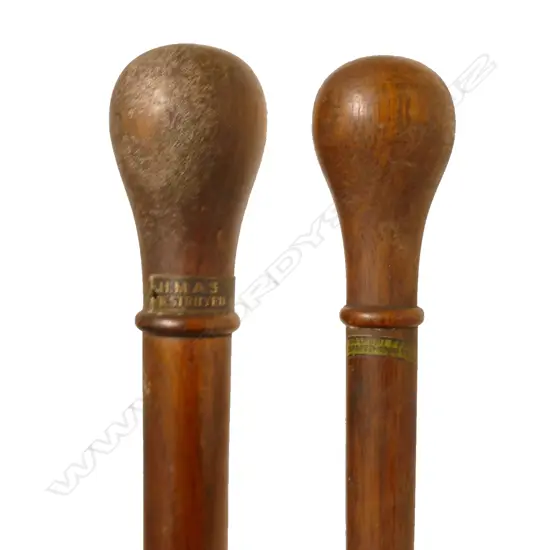 Two walking sticks
