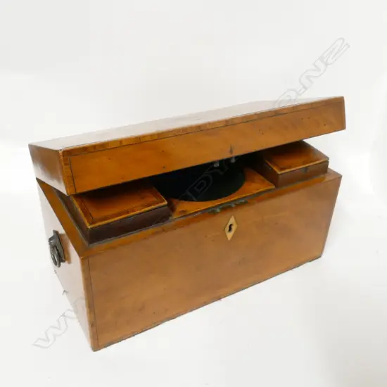 A Georgian satinwood tea caddy