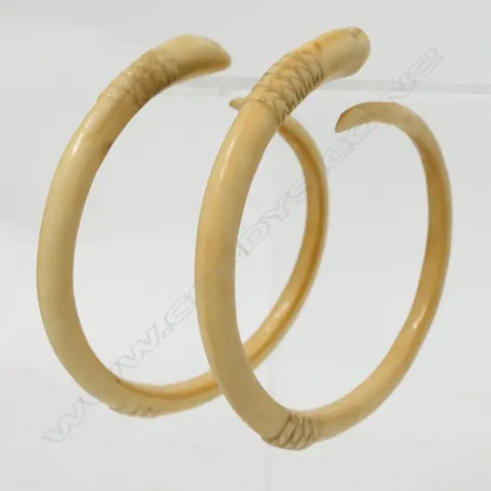 A pair of old highly curved boars tusk earrings