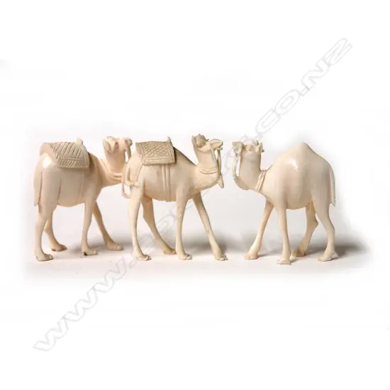 THREE IVORY CAMELS