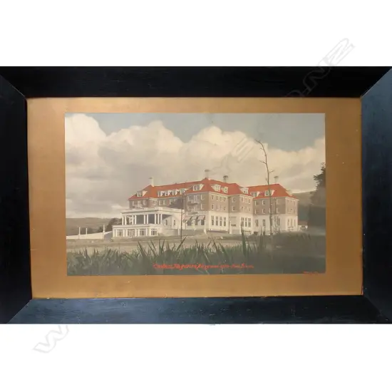 A vintage hand coloured photo