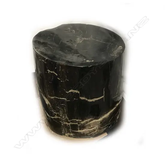 A heavy fossilised wood cylindrical stool
