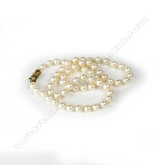 A single strand cultured pearl necklace