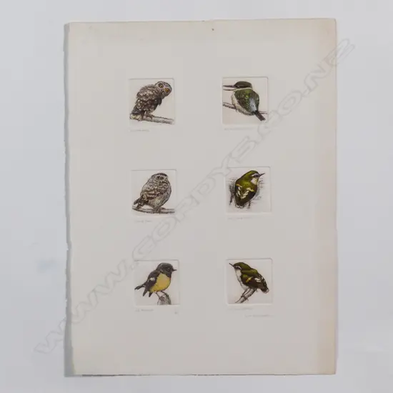Six Russell Jackson native bird  engravings