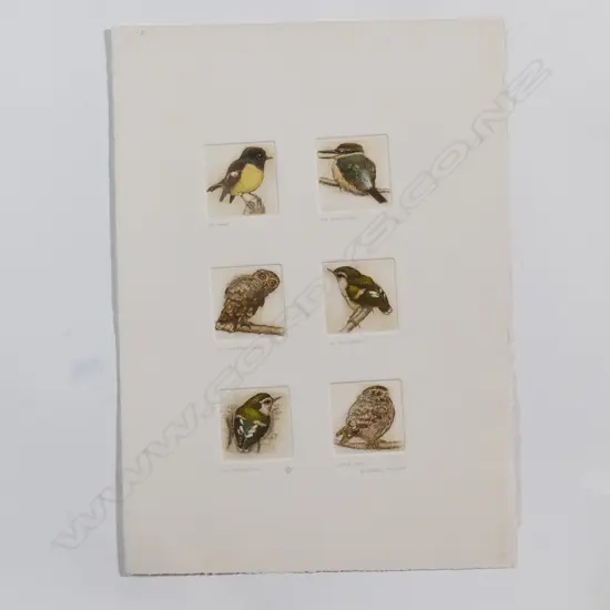 Six Russell Jackson native bird engravings