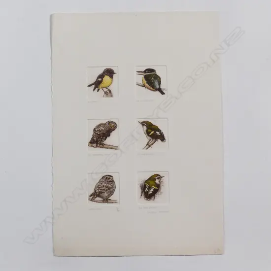Six Russell Jackson native bird engravings