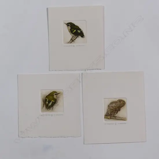 Three Russell Jackson native bird engravings