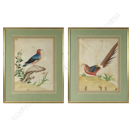 A pair of 18thC Chinese polychrome watercolour drawings of exotic birds
