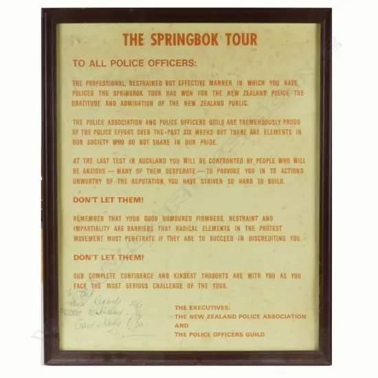 A 1981 'The Springbok Tour' poster