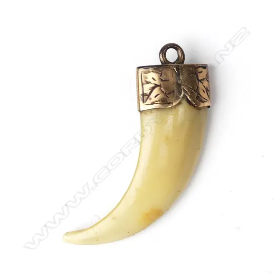 A Victorian gold mounted animal tooth