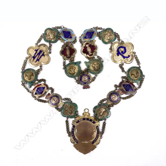A Royal Antediluvian Order of Buffaloes enamelled chain