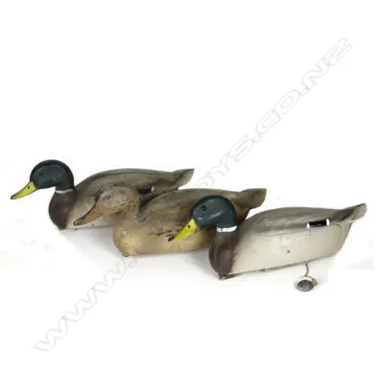 A trio of 1954 American hollow-moulded decoy ducks