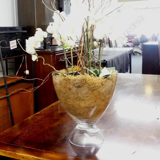 A large glass florist display vase