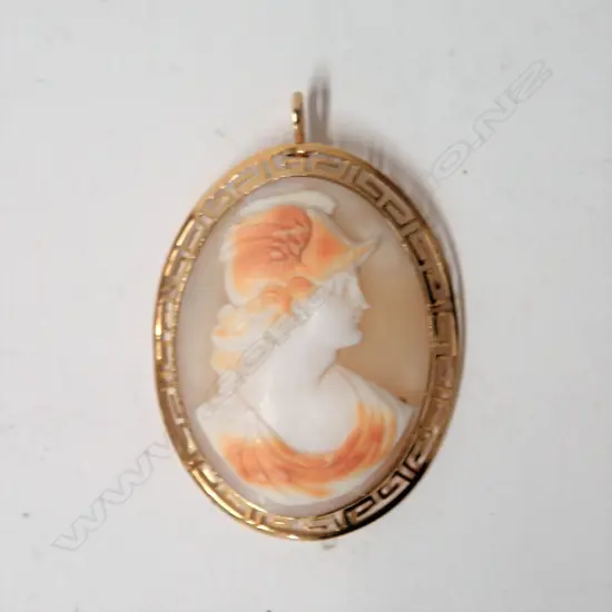 An 18ct. yellow gold framed classical cameo pendant/brooch