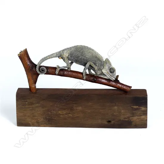 A taxidermied chameleon