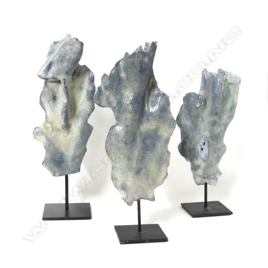 Three pieces of blue coral