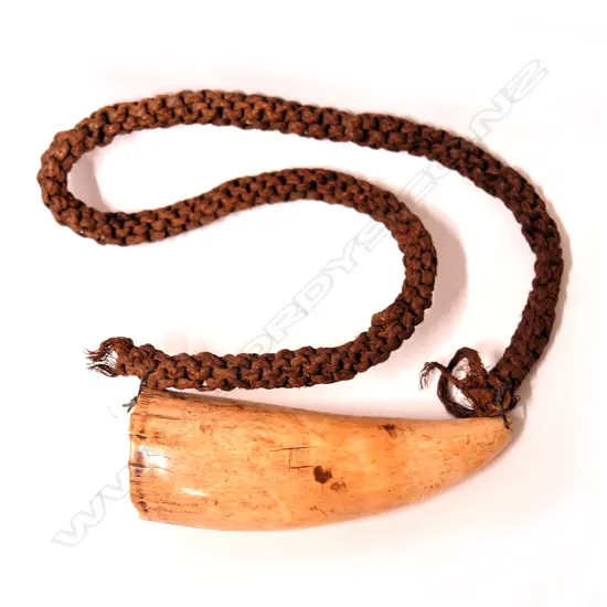 A 19thC Fijian tabua