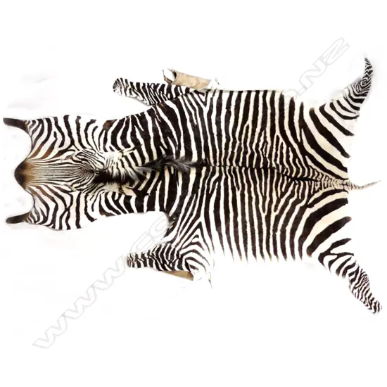 Zebra skin