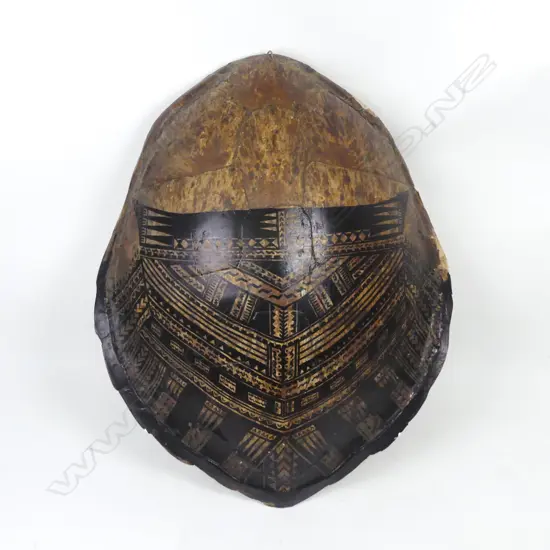 A large turtle shell