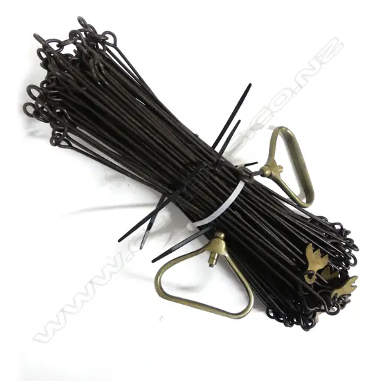 A 100' surveyor's chain measure