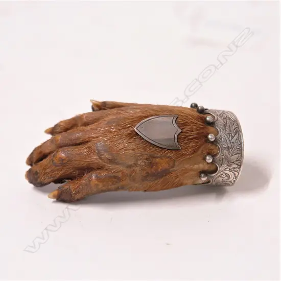 A 19thC silver mounted otter paw brooch
