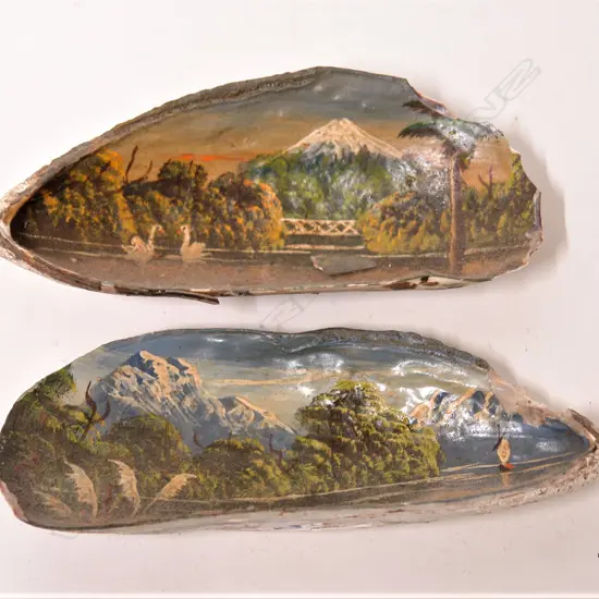 A pair of early 20thC N.Z. colonial landscape painted large mussel shells