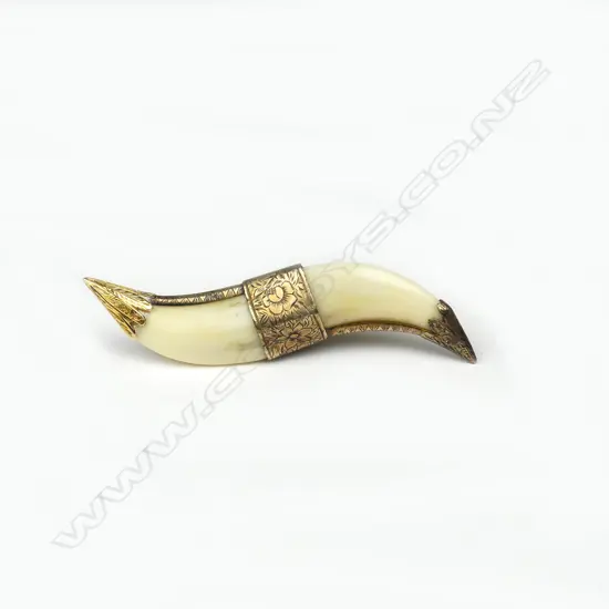 A vintage 9ct. gold mounted double big cat's tooth brooch