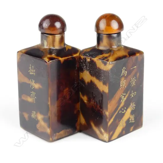 A Chinese tortoiseshell twin snuff bottle