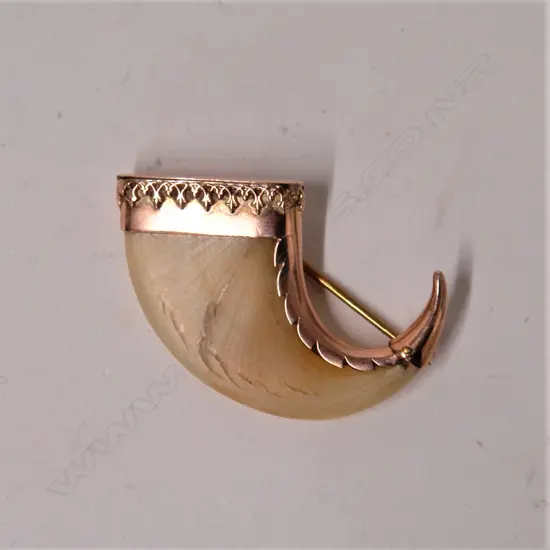 A 19thC 9ct. rose gold mounted tiger's claw brooch