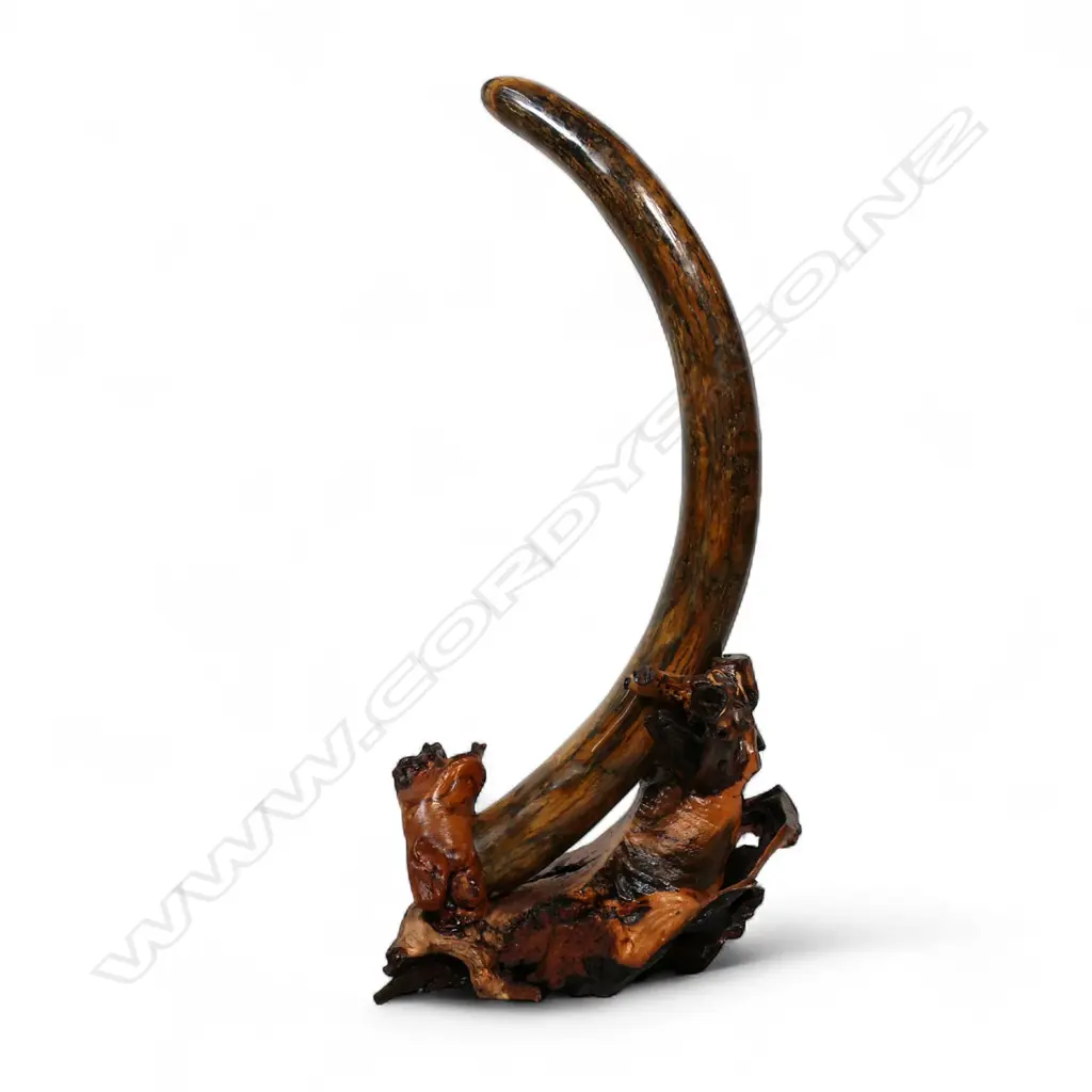 An ancient full woolly mammoth tusk on carved stand, Image 1++