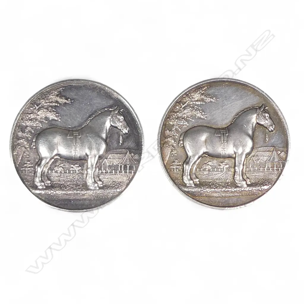 Two early 20thC 'The Clydesdale Horse Society of the Dominion of New Zealand' medals, Image 1++